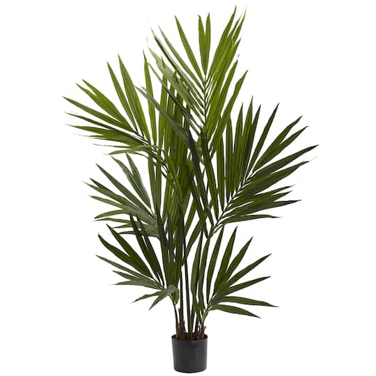 4ft. Potted Kentia Palm Silk Tree